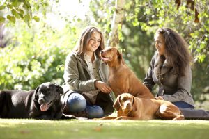 Professional advertising photography shot showing two girls, with three dogs, sat in a field with trees and branches in the background. Shot by professional northeast advertising photographer Cal Carey.