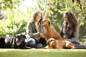 Professional advertising photography shot showing two girls, with three dogs, sat in a field with trees and branches in the background. Shot by professional northeast advertising photographer Cal Carey.