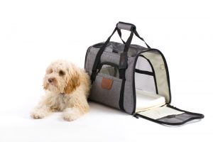 This is a professional advertising shot for Hartann Limited who sell dog beds which are attractive and comfy and shot in a studio style photograph.