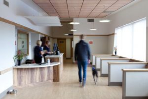 Professional commercial photography shot showing a man and a dog walking through a reception area, blurred do to a slower shutter speed. Shot by professional northeast commercial photographer Cal Carey.