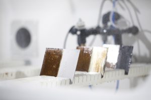 Professional commercial photography shot of an environmental testing process showing how they would test material against acidic liquids. Shot by professional northeast commercial photographer Cal Carey.
