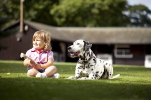 Professional advertising photography shot showing a young toddler girl with a h the dalmatian dog, both sitting down on the grass with girl holding a toy ready for the dog. Shot by professional northeast advertising photographer Cal Carey.