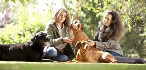 Professional advertising photography shot showing two girls, with three dogs, sat in a field with trees and branches in the background. Shot by professional northeast advertising photographer Cal Carey.