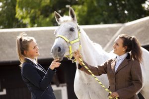 Professional advertising photography shot showing two girl in equestrian clothing interacting with a white horse outside. Shot by professional northeast advertising photographer Cal Carey.